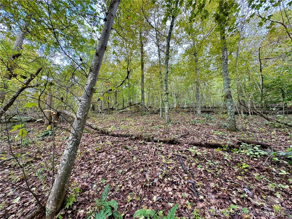 Off East Hurst Road Pekin, IN 47165 - Photo 26 of 33