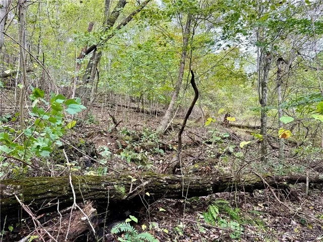 $85,000 | Off East Hurst Road, Pekin, IN 47165