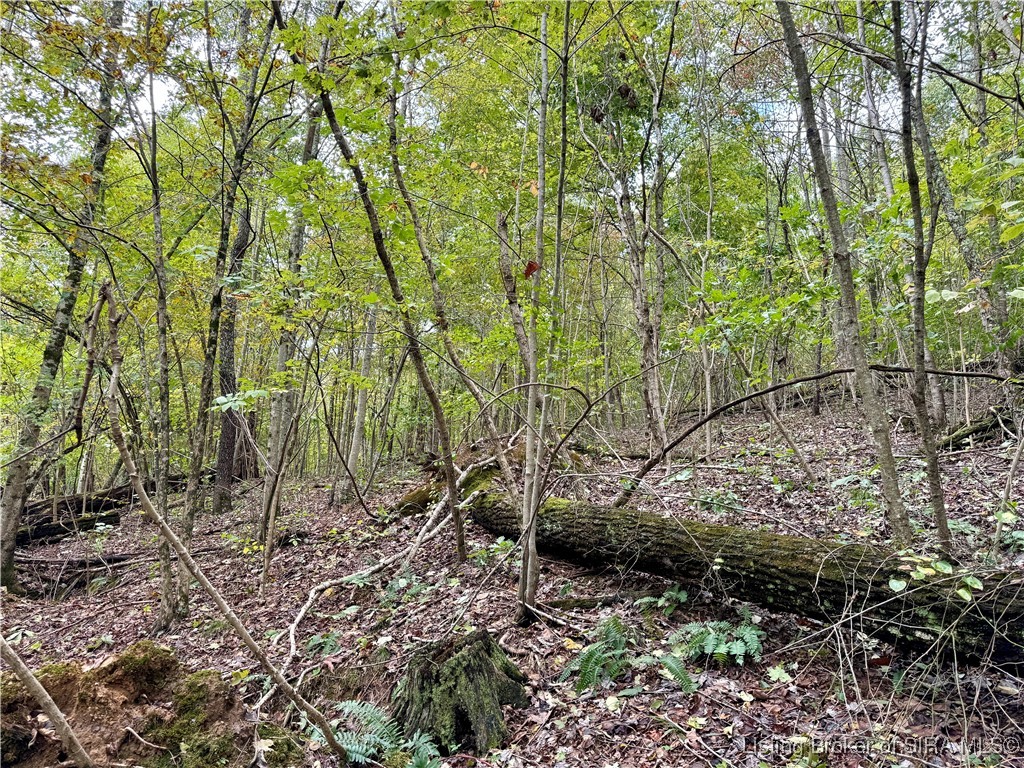 Off East Hurst Road Pekin, IN 47165 - Photo 28 of 33