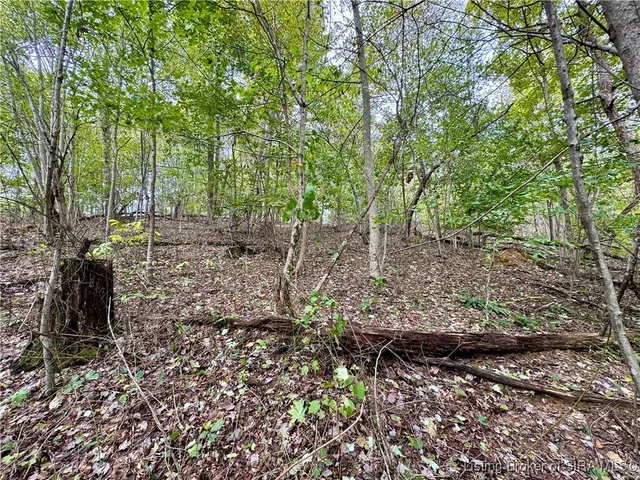 $85,000 | Off East Hurst Road, Pekin, IN 47165