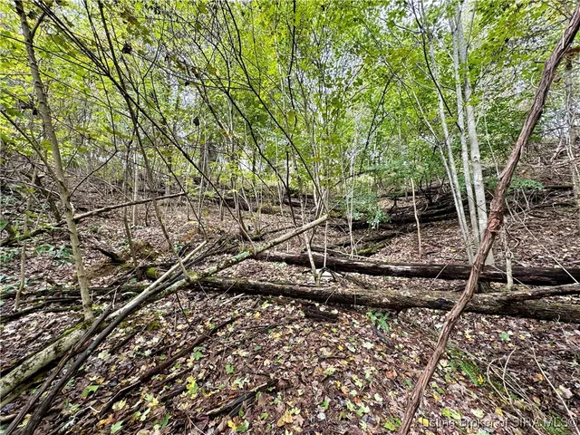 $85,000 | Off East Hurst Road, Pekin, IN 47165