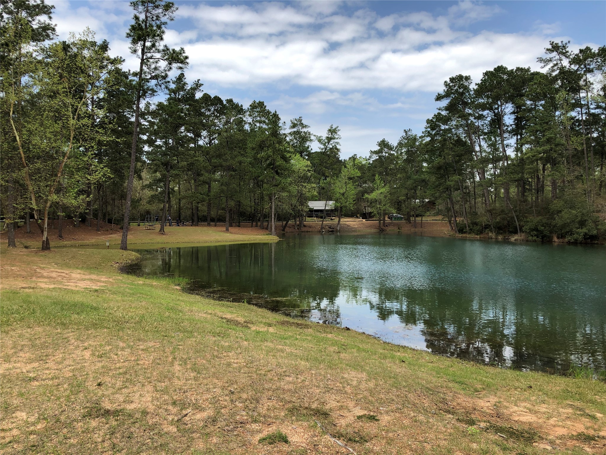 61 Cedar Ridge Cleveland, TX 77327 - Photo 21 of 24 Swim Lake