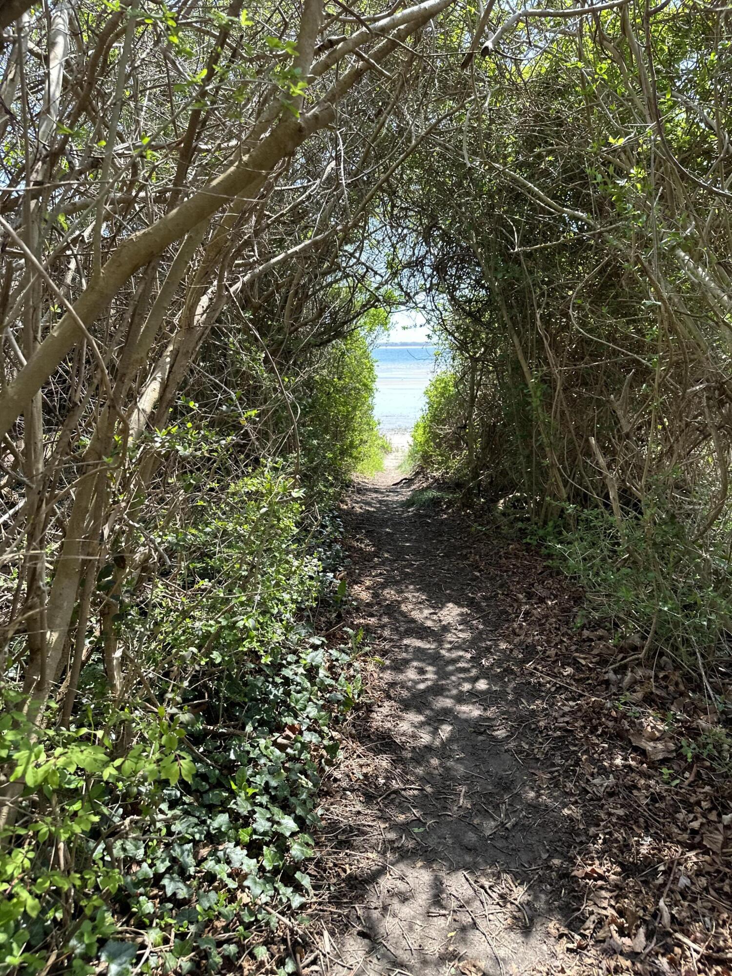 33 Island View Road Hyannis, MA 02601 - Photo 59 of 64 Path to the Beach