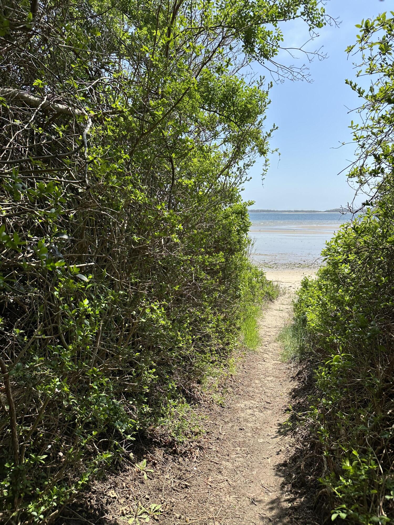 33 Island View Road Hyannis, MA 02601 - Photo 60 of 64 a view of a yard with plants and flowers
