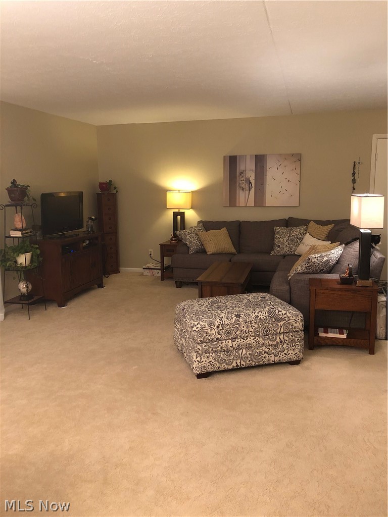 22940 Mastick Road, Unit 103 Cleveland, OH 44126 - Photo 3 of 14 Gallery Image 3
