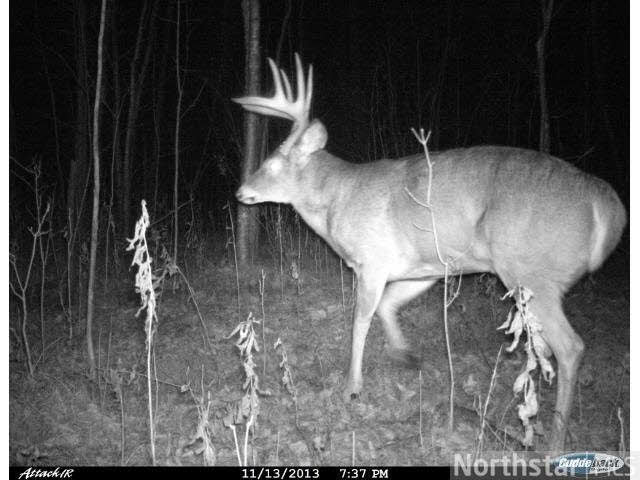 Xxx Xxx County Road Milltown, WI 54858 - Photo 5 of 16 Gallery Image 5