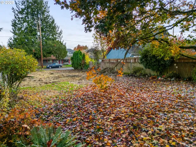 a view of a yard with plants and trees