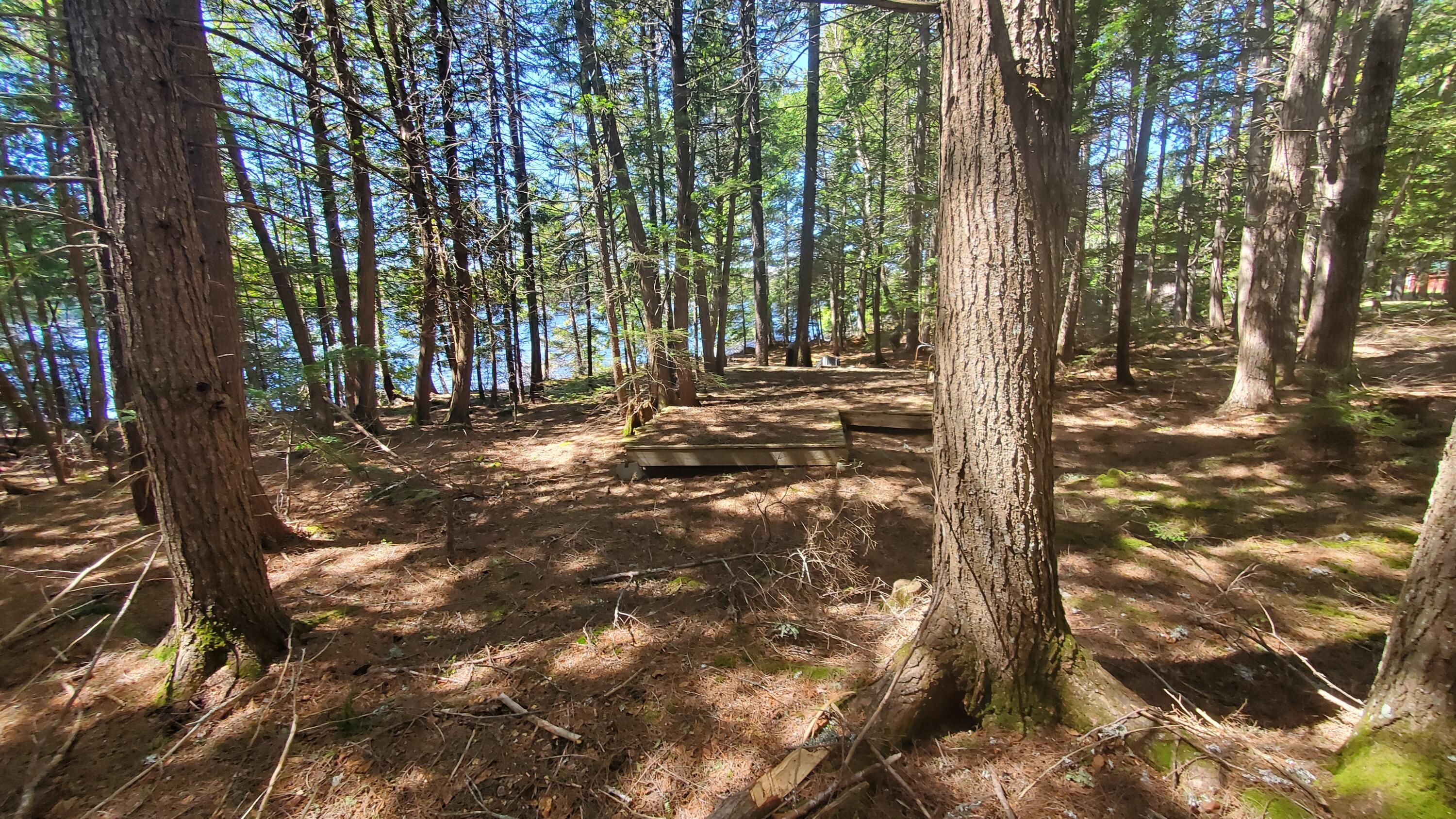 307 Lakeville Shores Road Lakeville, ME 04487 - Photo 21 of 39 20250430_113456