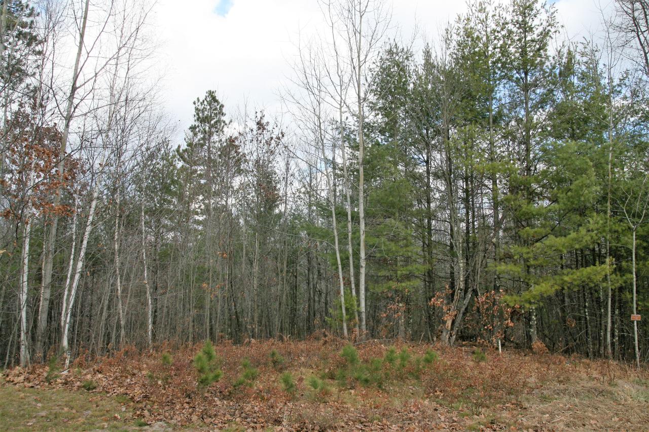 Lot 4 Packers Road Lake Tomahawk, WI 54539 - Photo 2 of 7 Gallery Image 2
