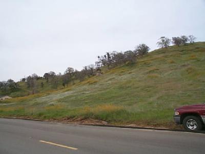 0 George Smith Road Squaw Valley, CA 93675 - Photo 1 of 1 Gallery Image 1
