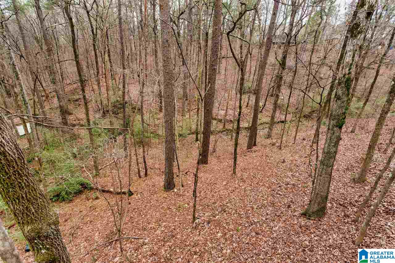 2149 Partridge Berry Road Birmingham, AL 35244 - Photo 42 of 47
