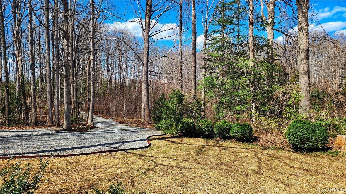 741 Waltons Store Road Louisa, VA 23093 - Photo 38 of 42 a view of a backyard of a house