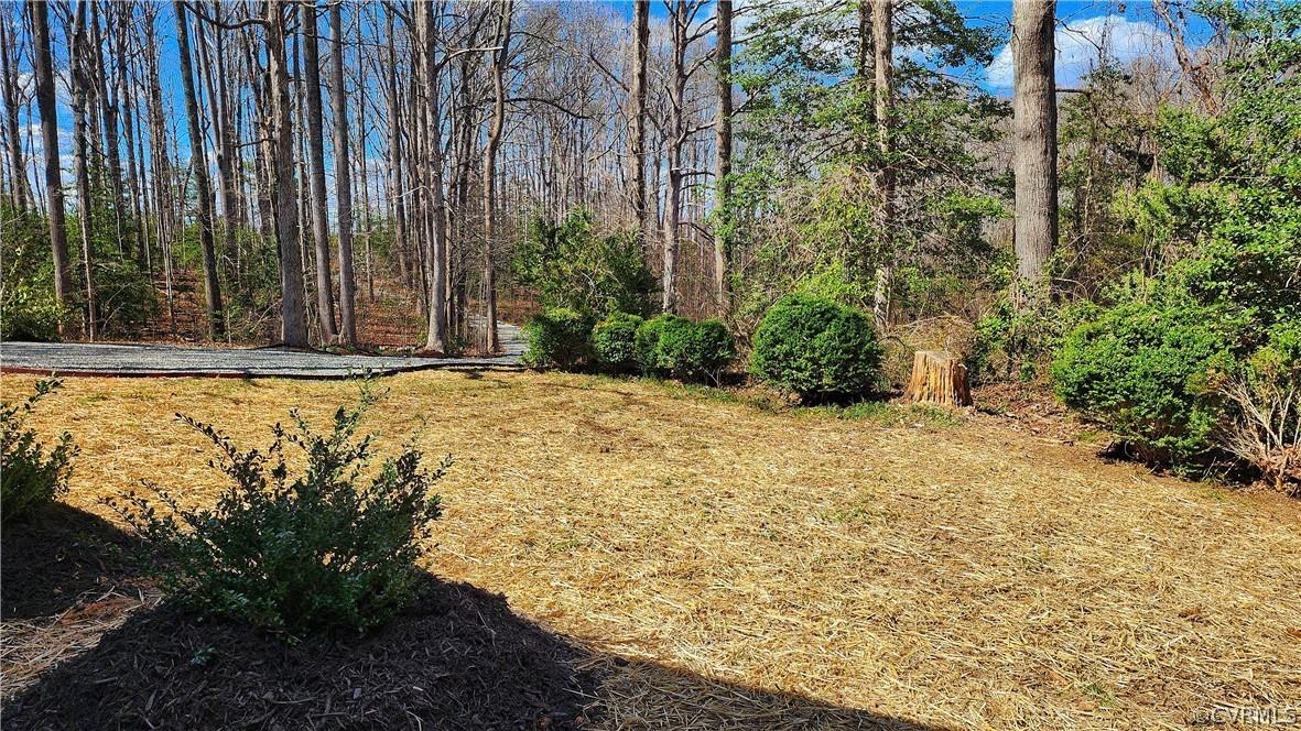 741 Waltons Store Road Louisa, VA 23093 - Photo 39 of 42 a view of a garden with plants