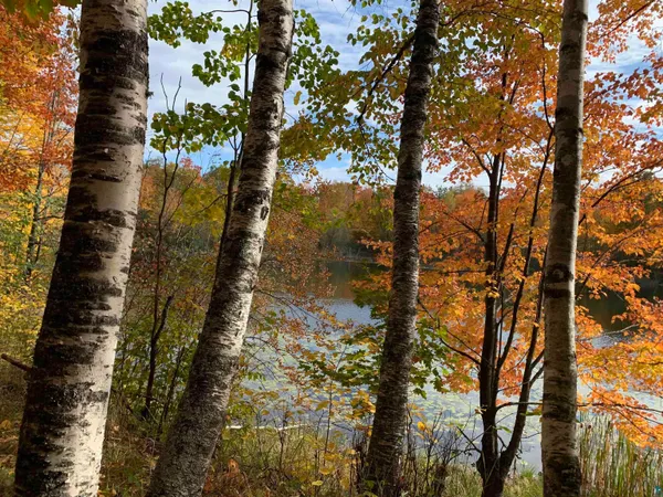 $1,199,900 | 1554 Bass Bay Road, Carlton, MN 55718