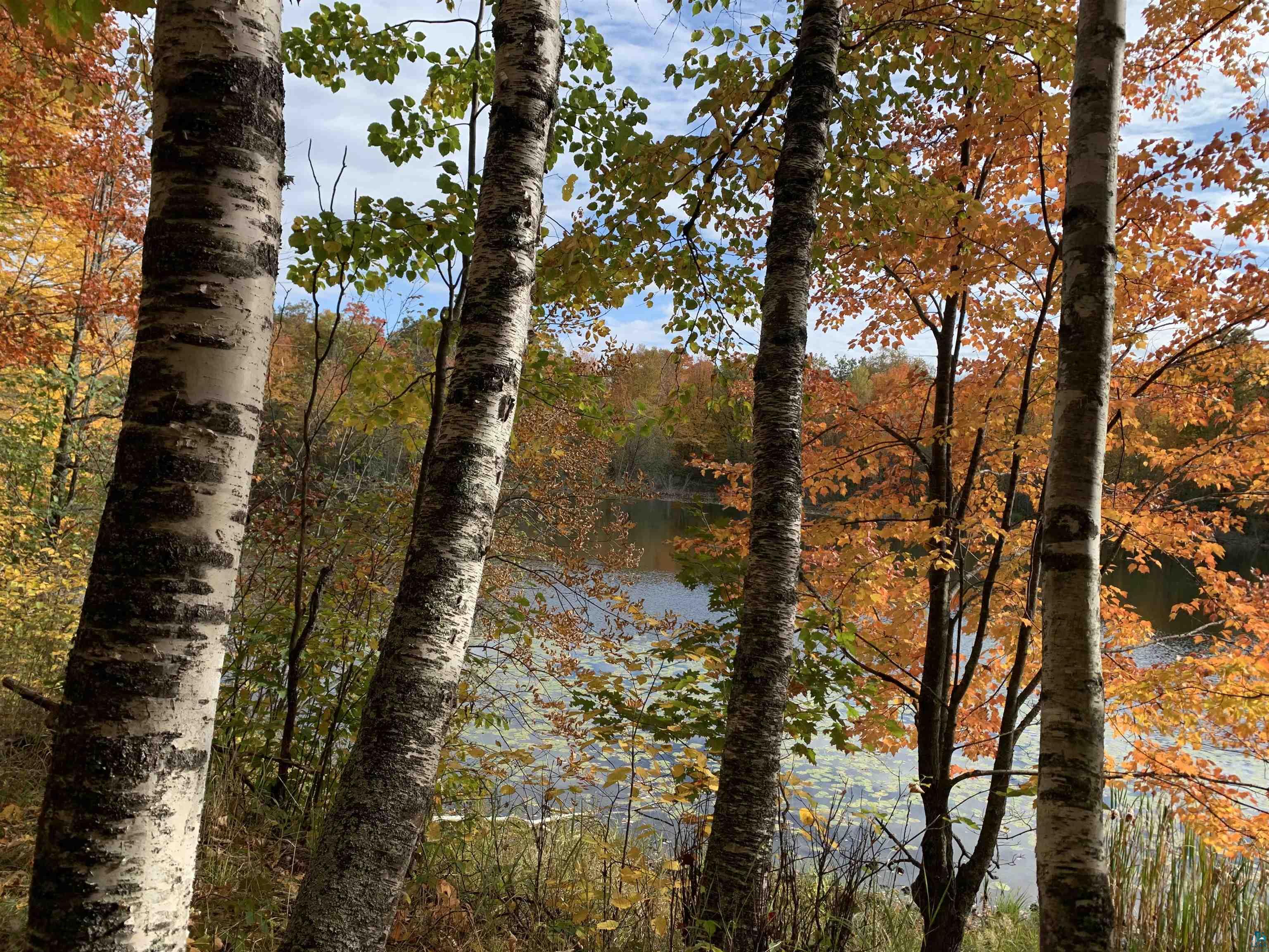 1554 Bass Bay Road Carlton, MN 55718 - Photo 94 of 97