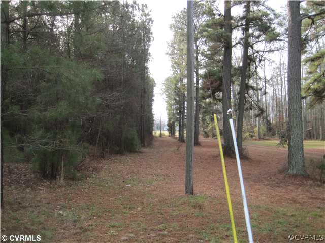 5009 River Road Petersburg, VA 23803 - Photo 4 of 6 Gallery Image 4