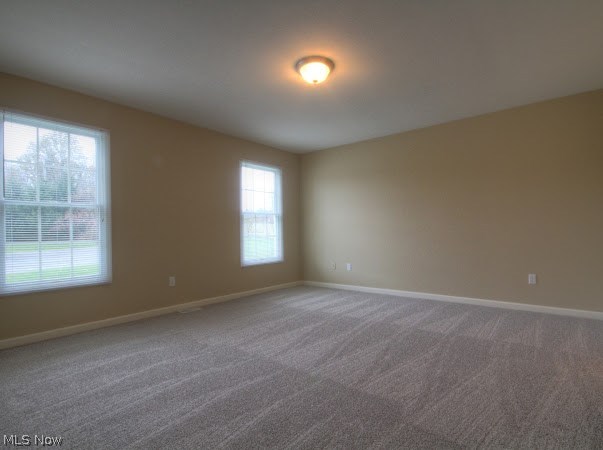 603 South Raccoon Road Youngstown, OH 44515 - Photo 7 of 16 Gallery Image 7