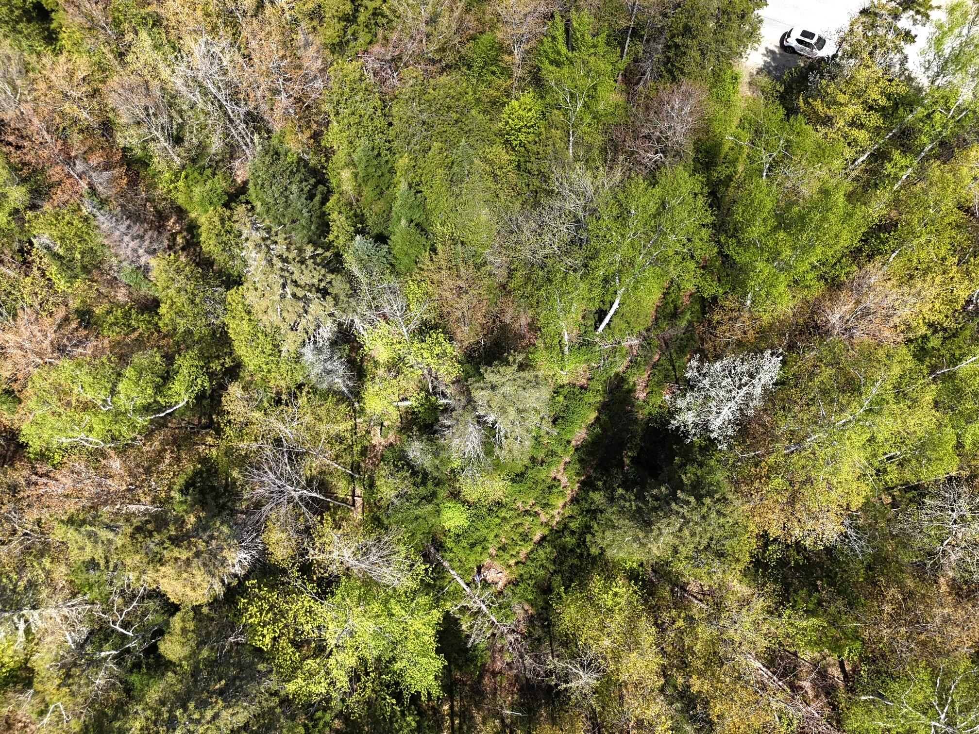 5.15 Baker Hill Road Strong, ME 04983 - Photo 4 of 6 Arial 1