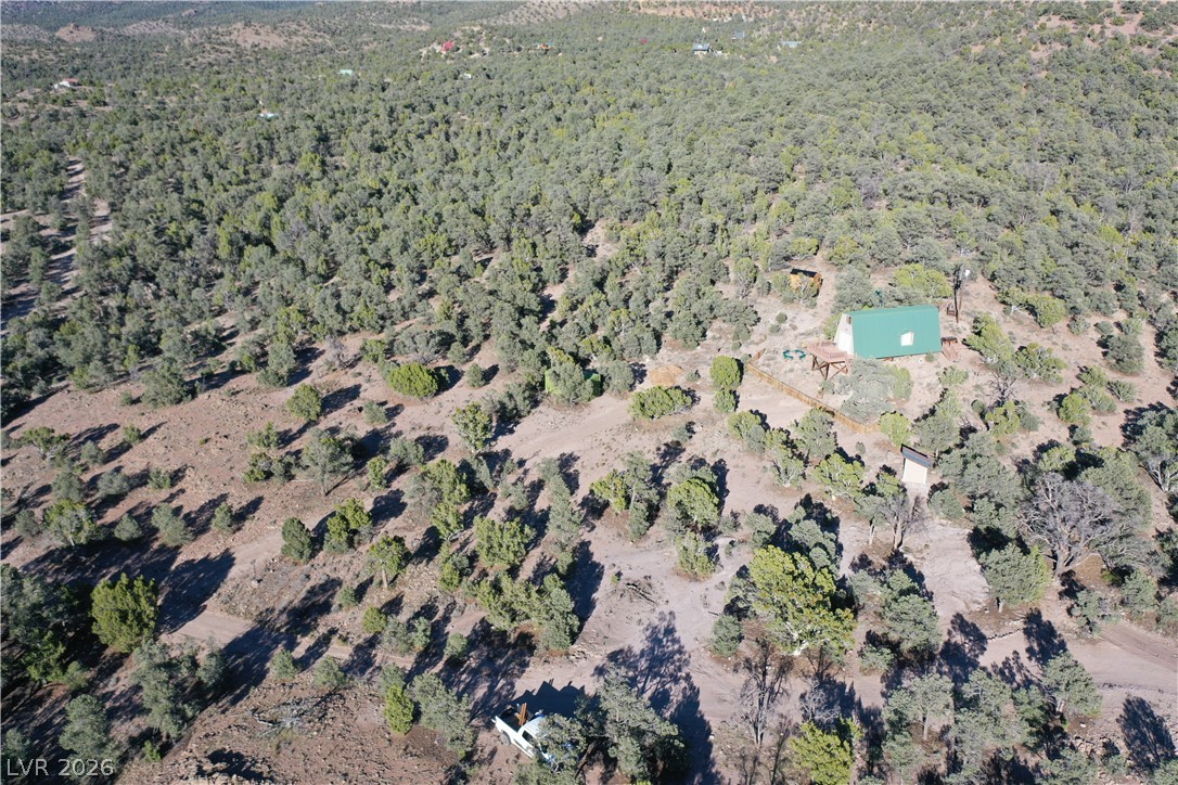 20502 Windsong Road Pioche, NV 89043 - Photo 24 of 30 Mature trees surround this private hillside retreat, offering a secluded mountain escape.