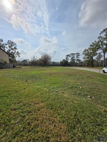 a view of an ocean from a yard