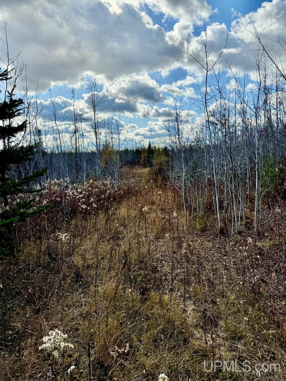 27.5 Rd 28 Acres Trail Gladstone, MI 49837 - Photo 15 of 24