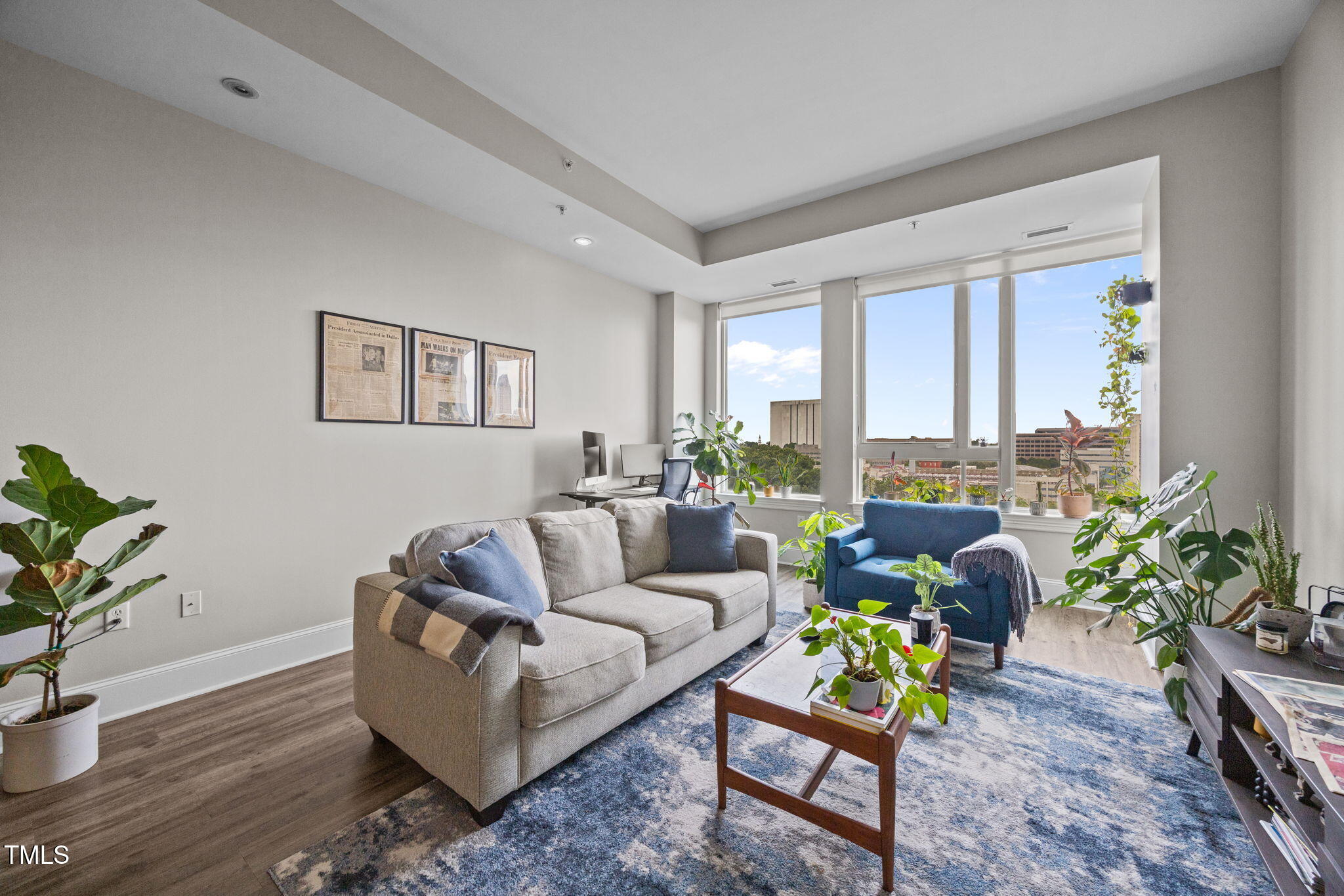 400 West North Street, Unit 1028 Raleigh, NC 27603 - Photo 2 of 30 a living room with furniture and a potted plant