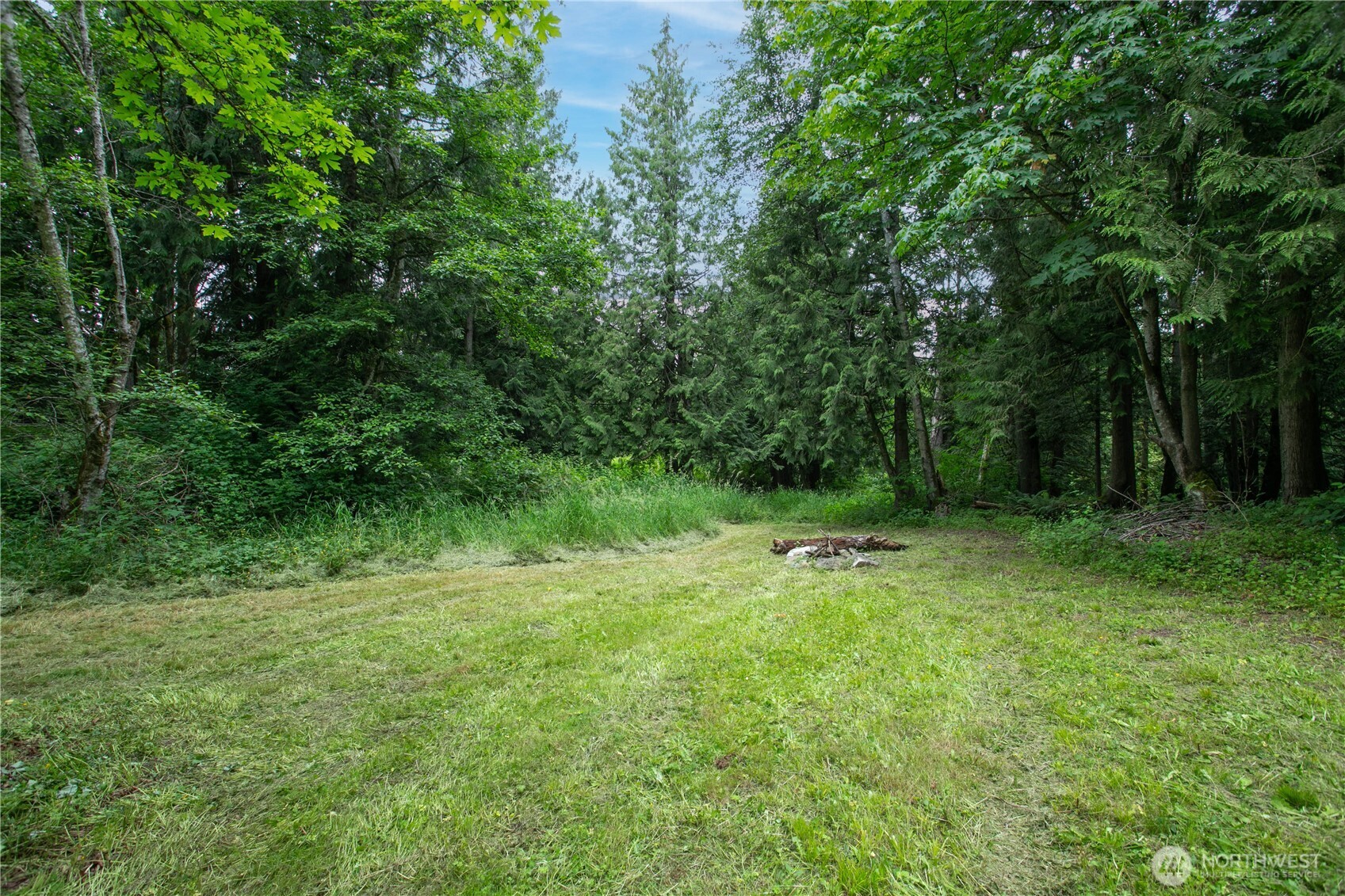 5459 Noon Road Bellingham, WA 98226 - Photo 34 of 40 a big yard with lots of green space and deers
