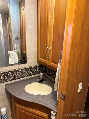 a bathroom with a sink and a shower