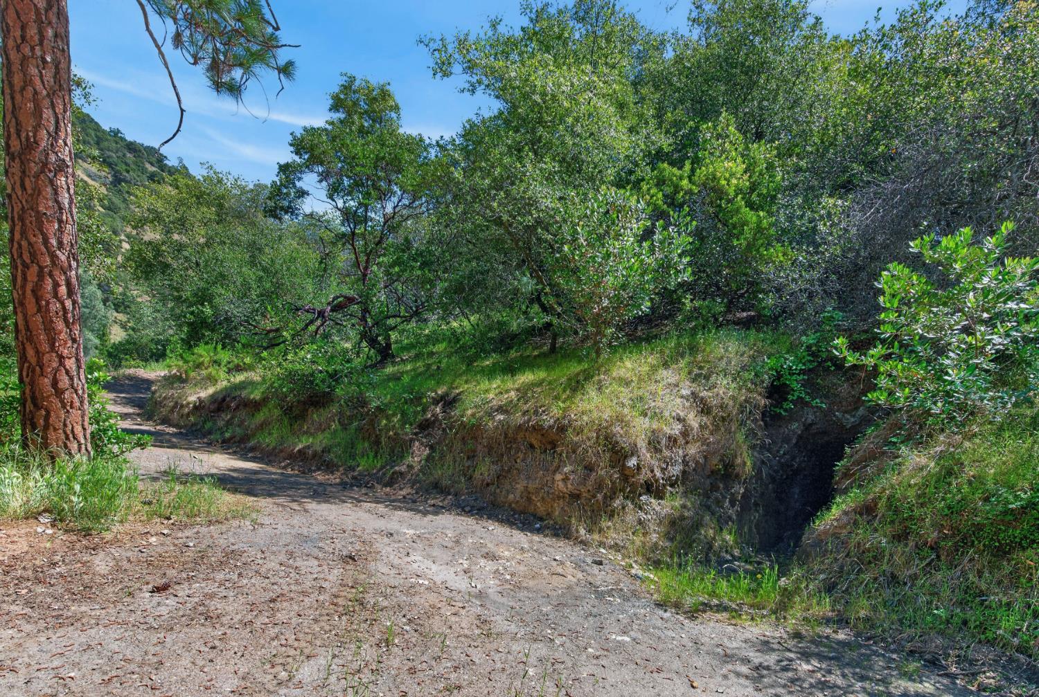 7570 Airola Road Vallecito, CA 95251 - Photo 26 of 90
