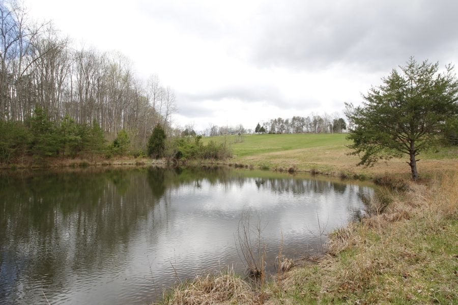 893 Center Point Road West Cub Run, KY 42729 - Photo 13 of 13 Gallery Image 13