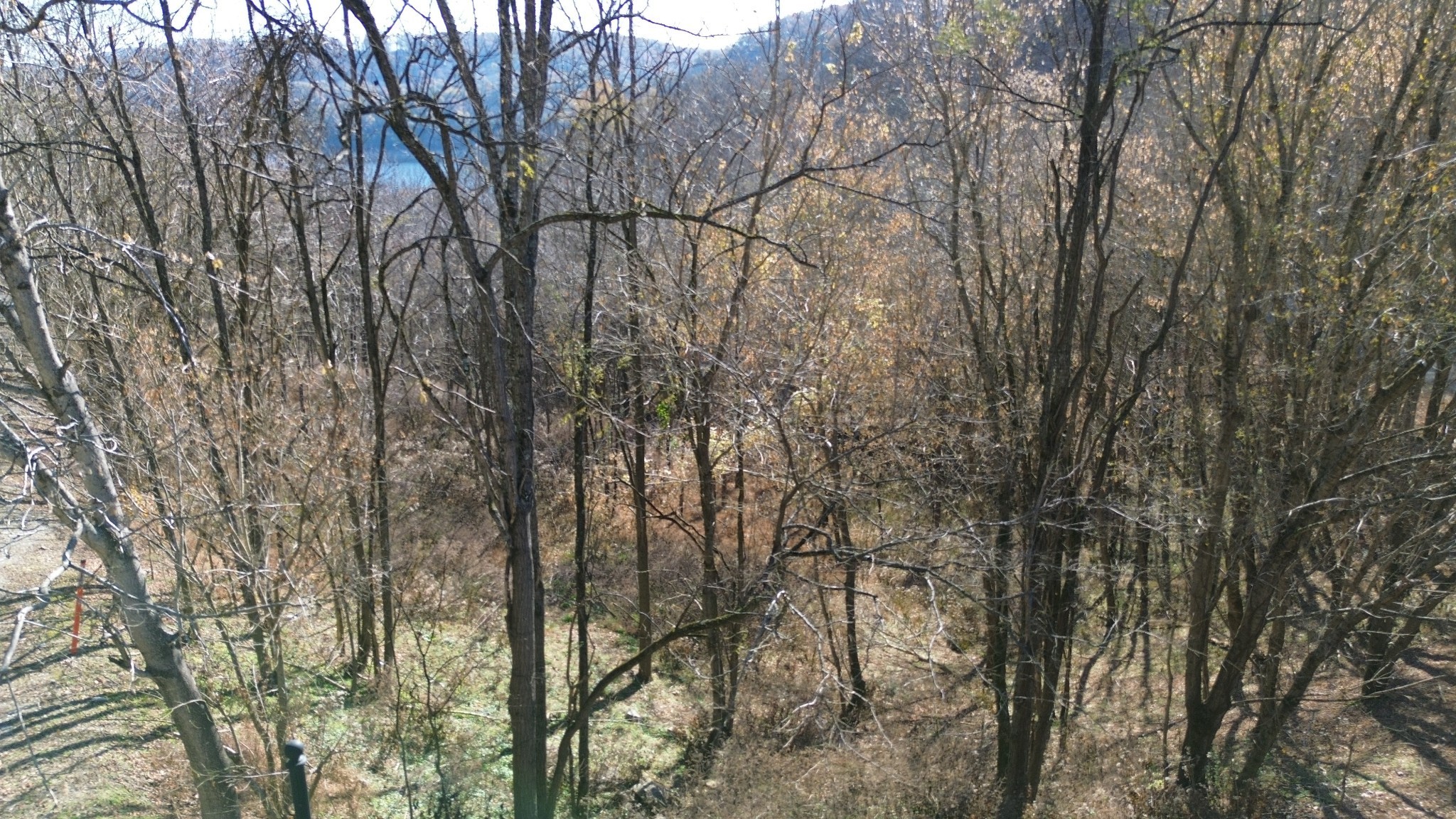 86 Blackberry Ridge Way Smithville, TN 37166 - Photo 11 of 12