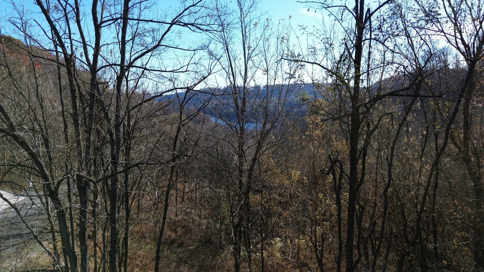 86 Blackberry Ridge Way Smithville, TN 37166 - Photo 12 of 12