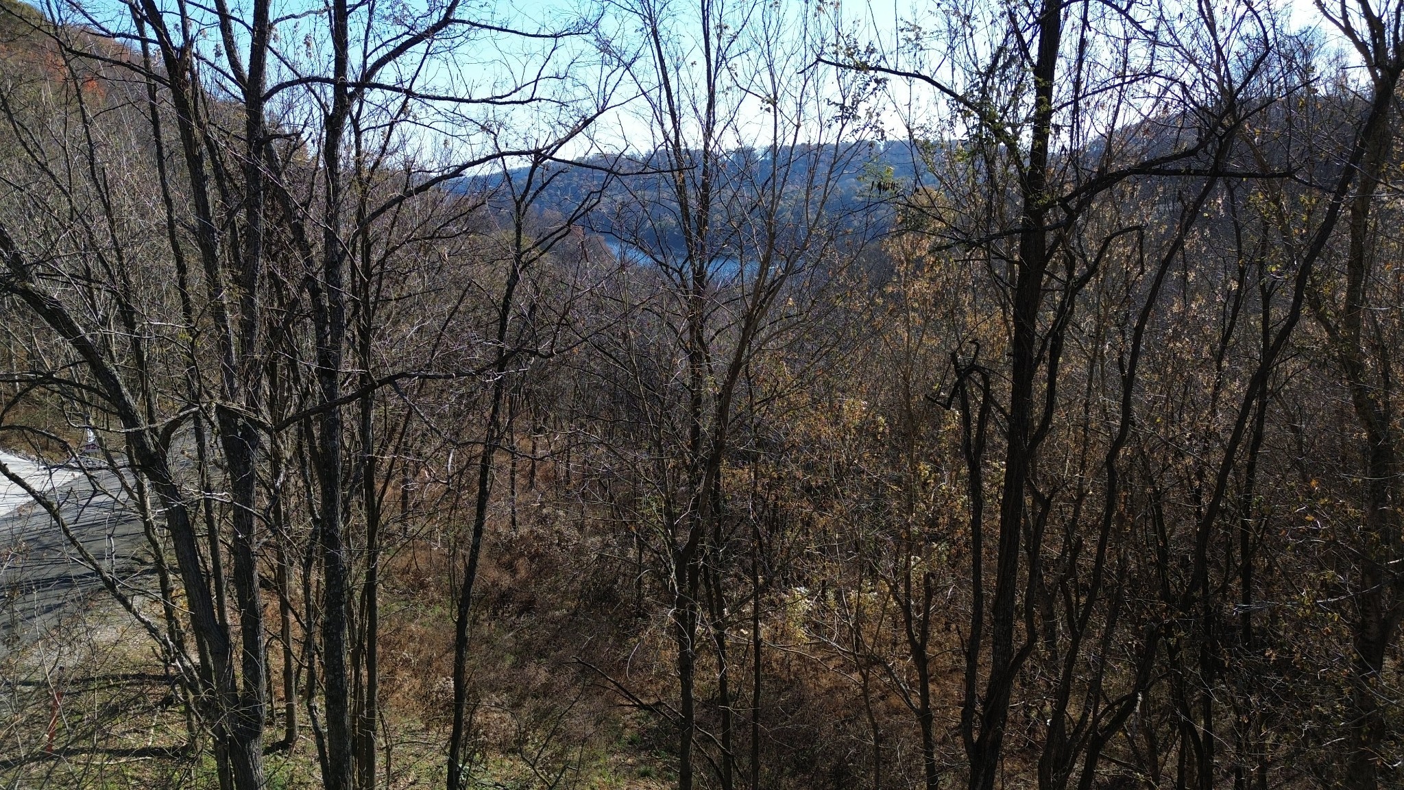 86 Blackberry Ridge Way Smithville, TN 37166 - Photo 2 of 12