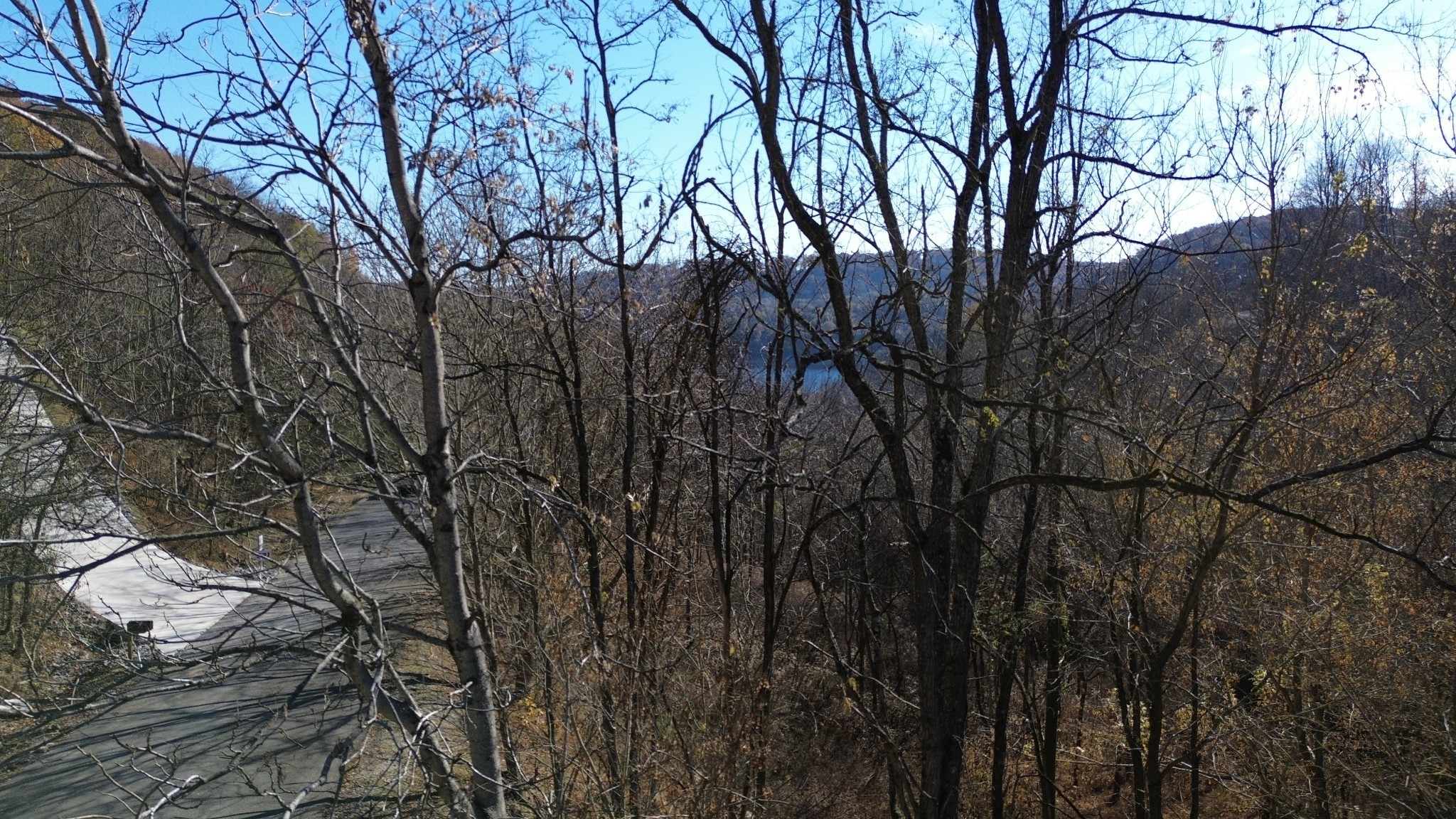 86 Blackberry Ridge Way Smithville, TN 37166 - Photo 3 of 12