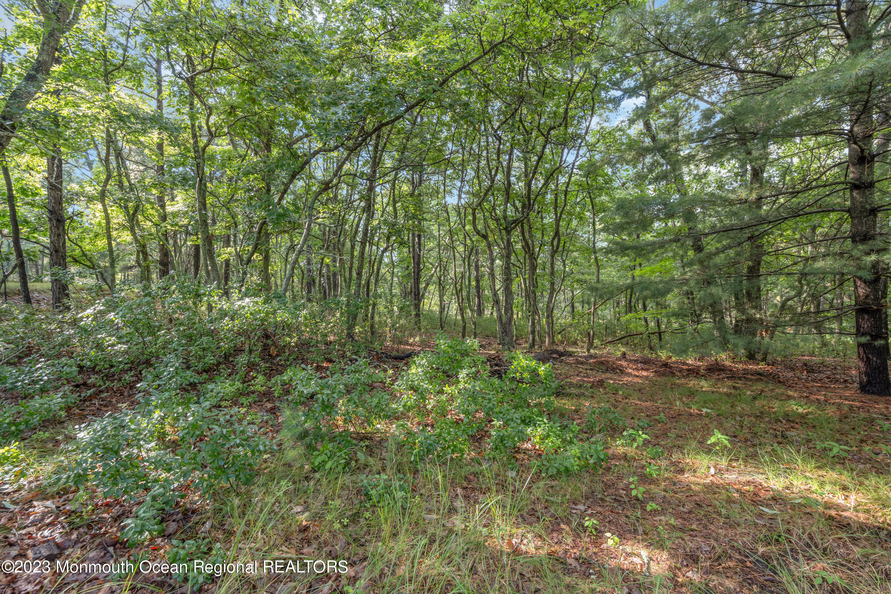 74 Willow Drive Jackson, NJ 08527 - Photo 20 of 20 a view of a yard with large trees