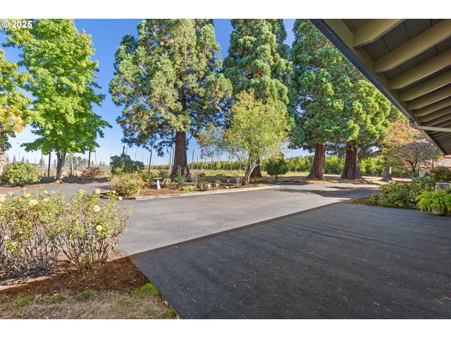 a view of city with palm trees