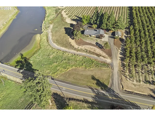 a view of a garden with a bench