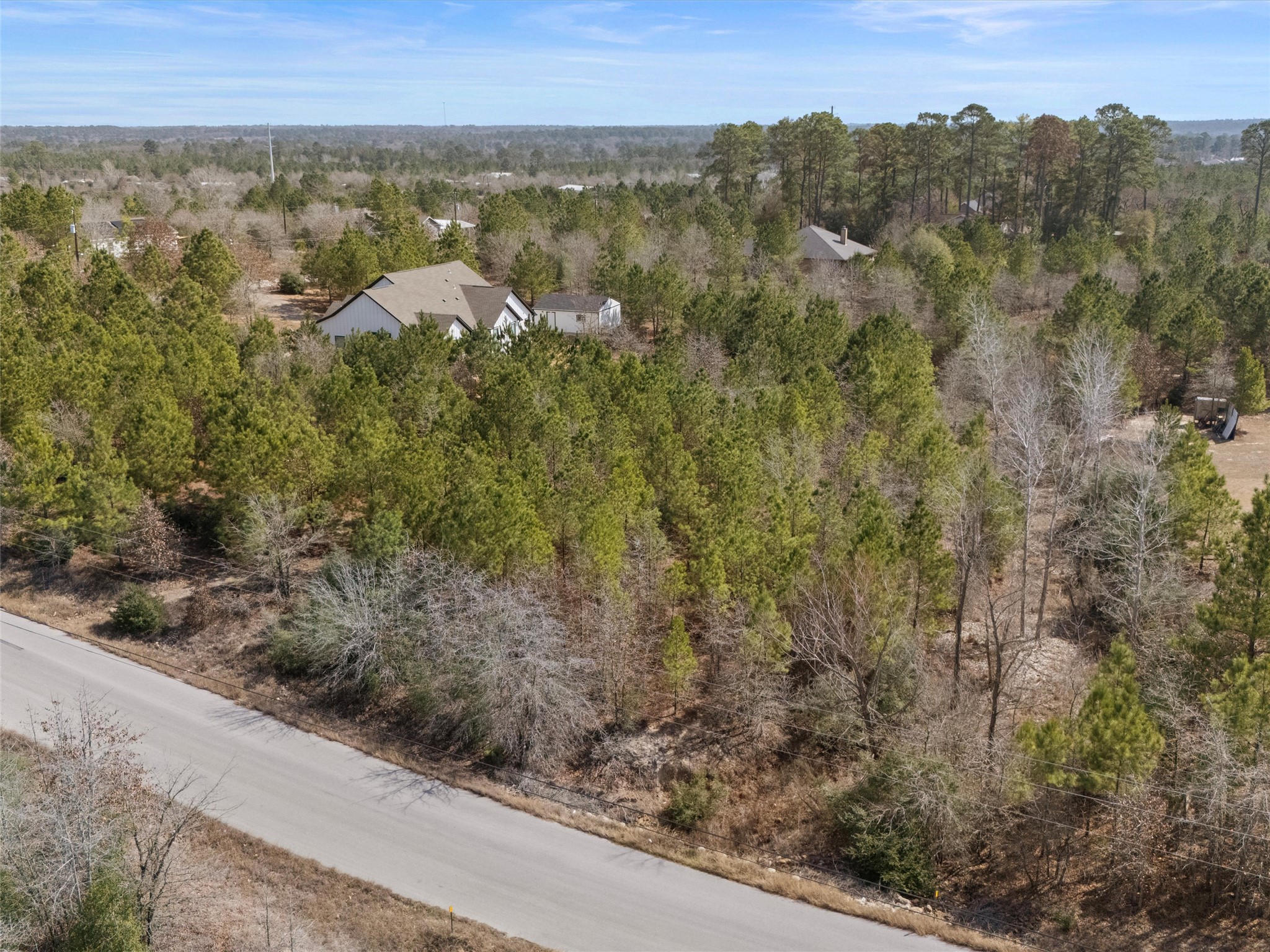 Tbd Cardinal Drive Paige, TX 78659 - Photo 3 of 14 an aerial view of residential house and with trees