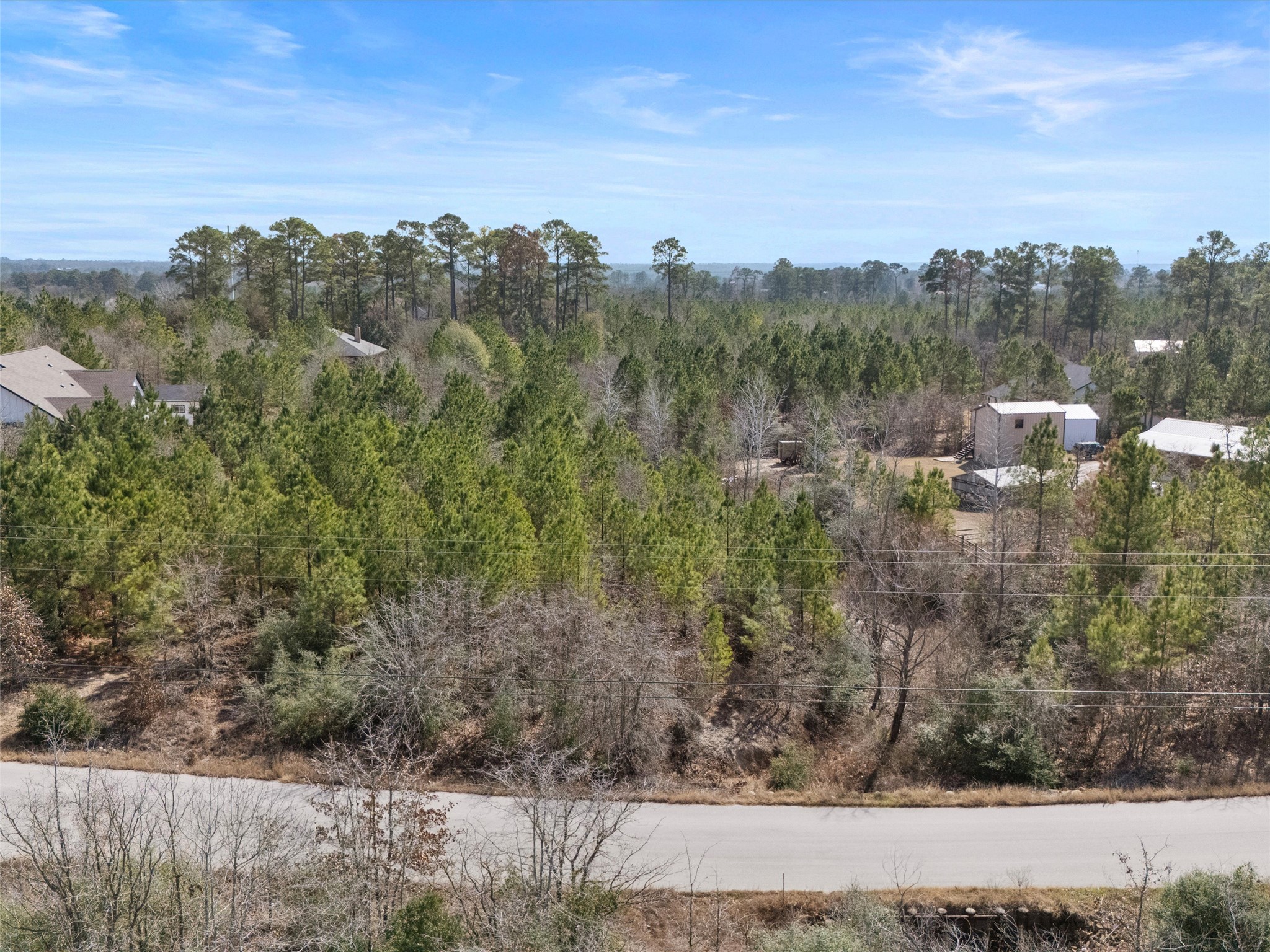 Tbd Cardinal Drive Paige, TX 78659 - Photo 4 of 14 a view of a forest with tall trees