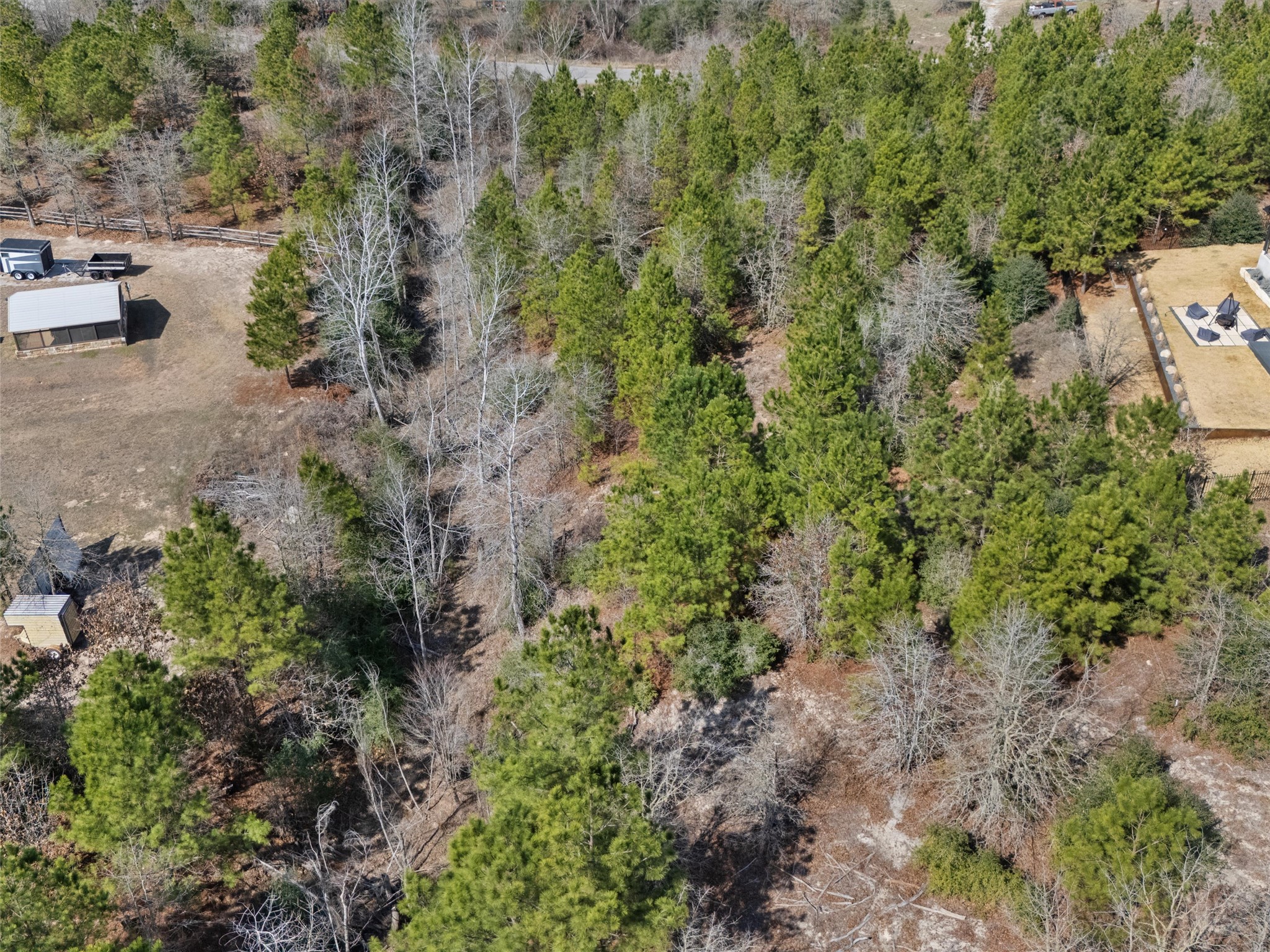 Tbd Cardinal Drive Paige, TX 78659 - Photo 9 of 14 a view of a forest with a house