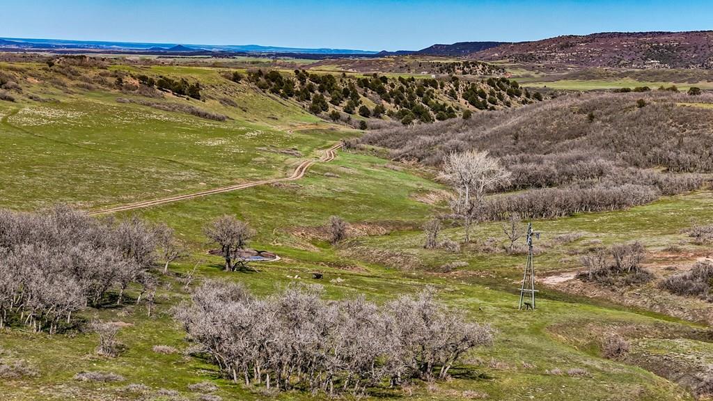 Tbd Tbd Rilling Canyon Road La Veta, CO 81055 - Photo 9 of 33