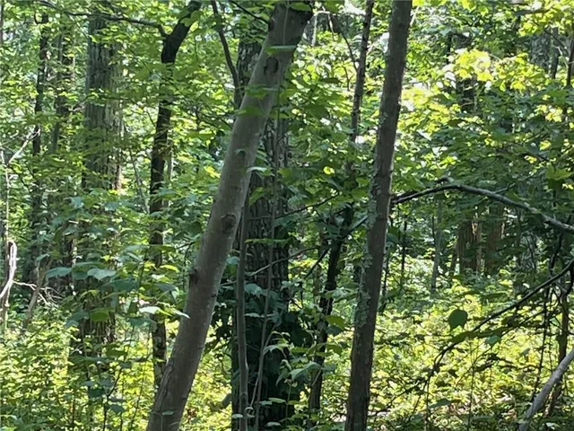 $2,379,000 | Cascade Mount, Amenia, NY 12501