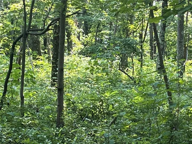 $2,379,000 | Cascade Mount, Amenia, NY 12501