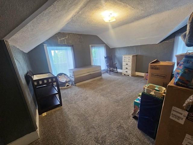 13803 County 14 Spring Valley Spring Valley, MN 55975 - Photo 36 of 51