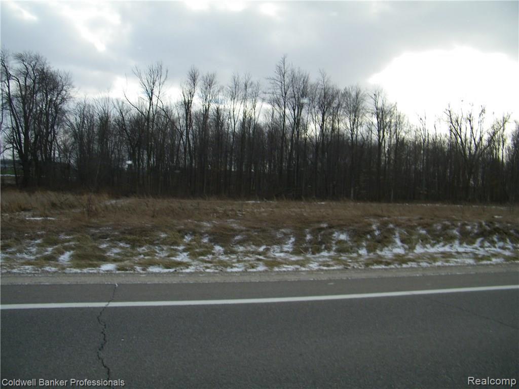 1 North Branch Rd Branch Fostoria, MI 48435 - Photo 3 of 5