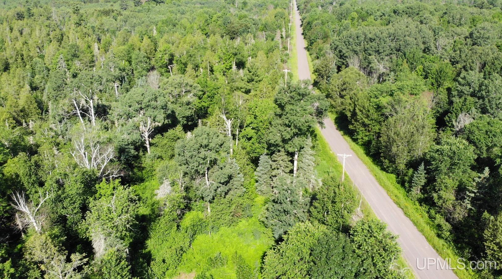 7349 East Old M28 Road Trout Creek, MI 49967 - Photo 37 of 48