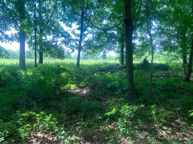 238 Turner Road Troy, NY 12182 - Photo 10 of 34 Photo 10