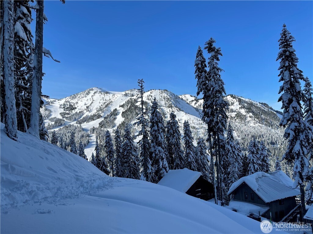 319 Gold Hill Road Enumclaw, WA 98022 - Photo 3 of 6