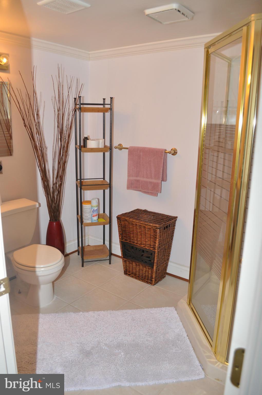 3244 Spriggs Request Way Bowie, MD 20721 - Photo 22 of 30 BASEMENT FULL BATH
