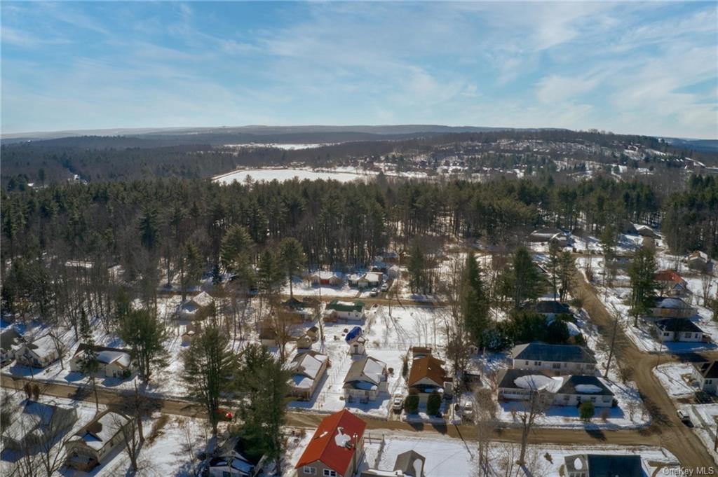 10 Maple Avenue, Unit 1 Fallsburg, NY 12789 - Photo 24 of 25